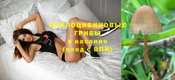 прущие крисы Краснослободск